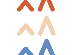 Logo Kaleido sans texte